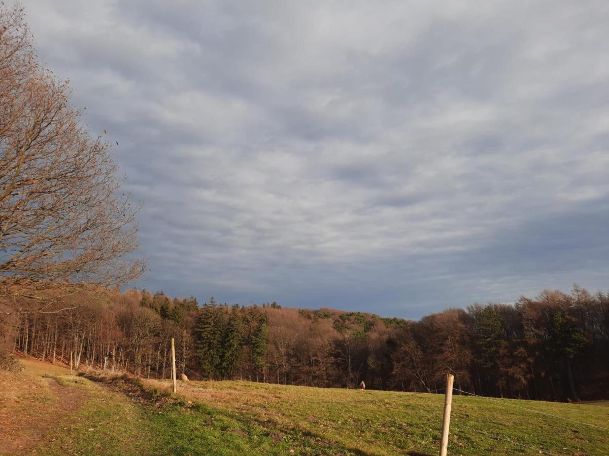 Erholungsheim Im Wienerwald Irenental 外观 照片