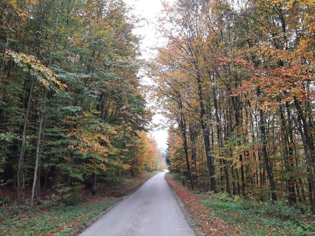 Erholungsheim Im Wienerwald Irenental 外观 照片